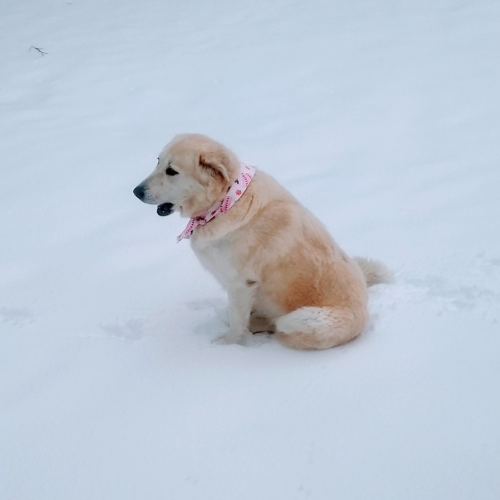 Meet your Posher, Vickie